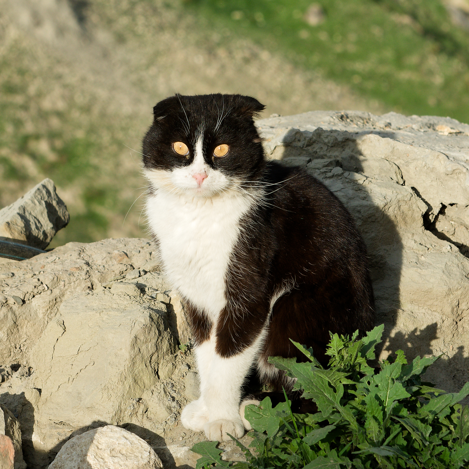 Short Trip to Dagestan