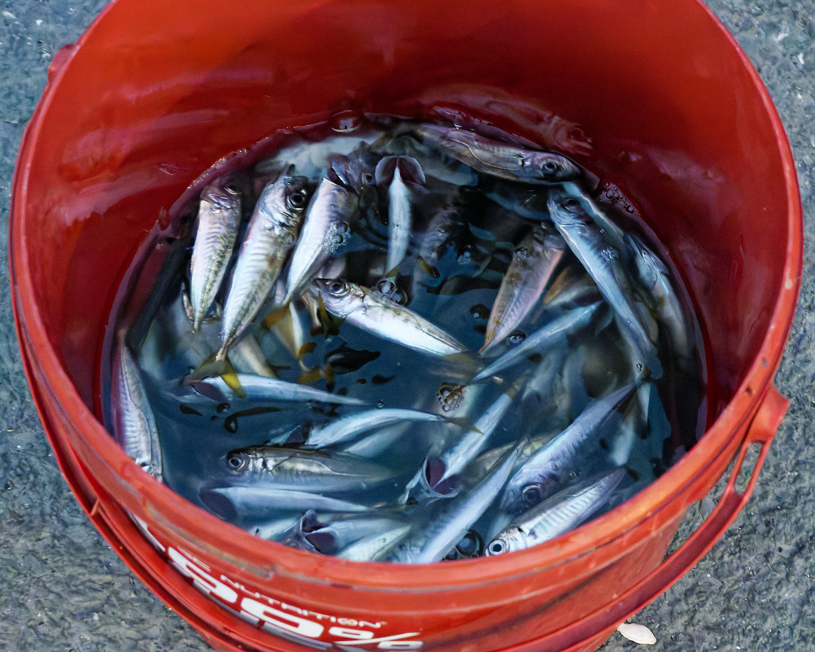 Street scenes in Istanbul 2026