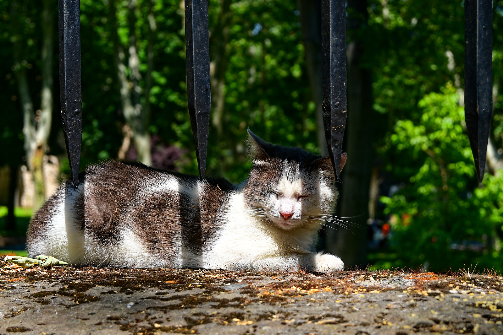 Bostan quarter, Istanbul, April 2026